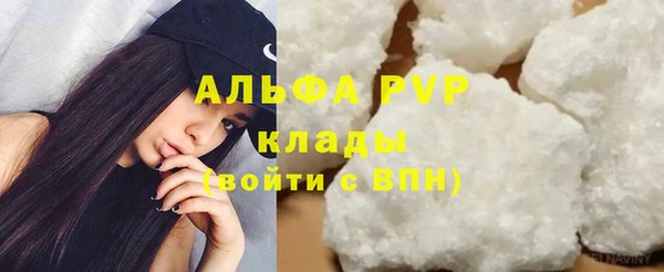 гидра Аркадак