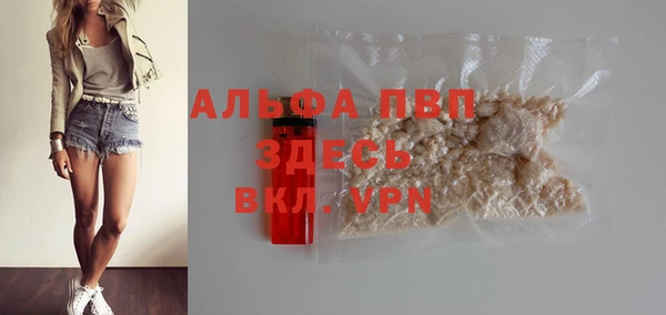 спайс Арсеньев