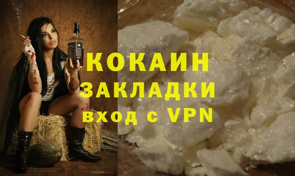 шишки Балабаново