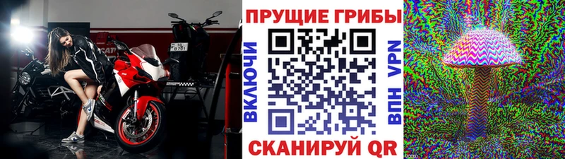 маркетплейс официальный сайт  Мичуринск  Галлюциногенные грибы ЛСД 